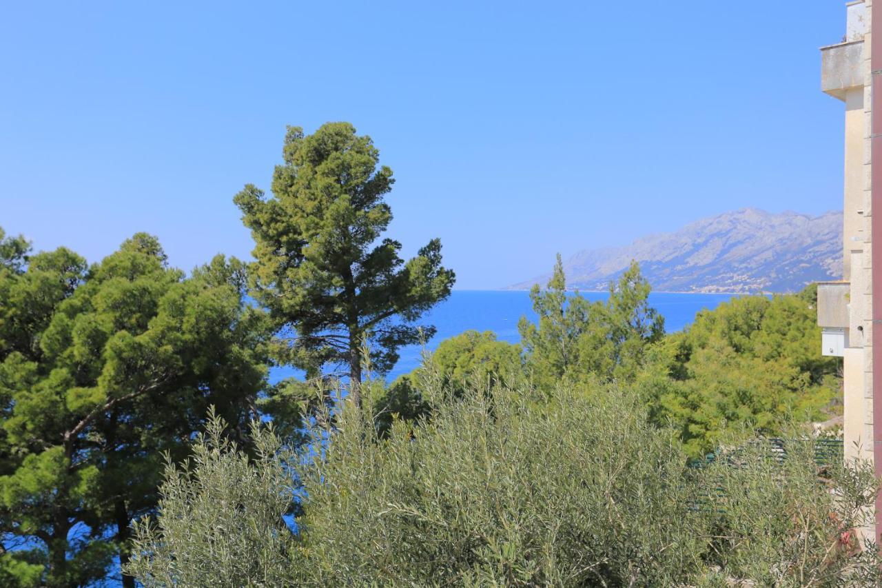 Apartments By The Sea Brela, Makarska - 2718 Kültér fotó